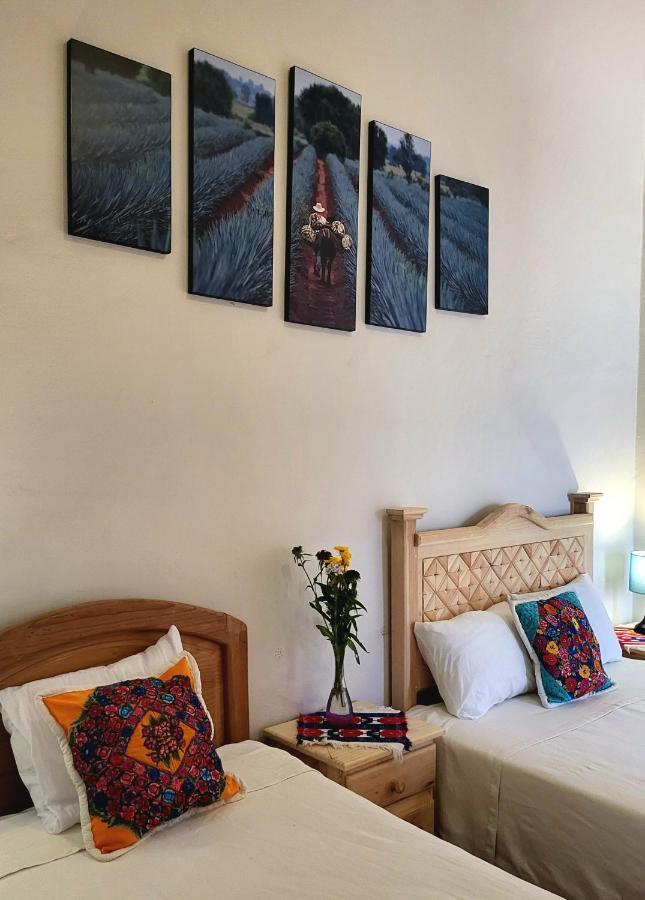Casa Los Arquitos B&B Oaxaca Ngoại thất bức ảnh